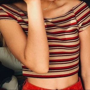 Brandy Melville Crop Top